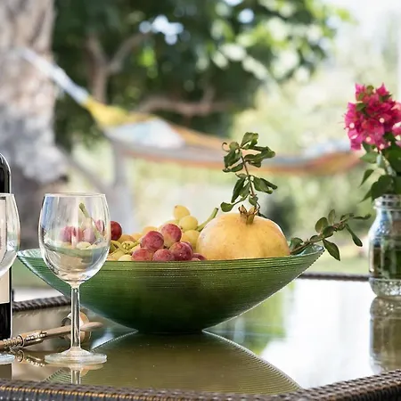 Zingas Villas - Anax And Anassa Villa